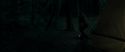 RdM1-Potterish7115.jpg