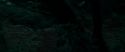 RdM1-Potterish7153.jpg
