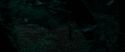 RdM1-Potterish7159.jpg