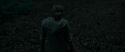 RdM1-Potterish7164.jpg