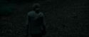 RdM1-Potterish7171.jpg