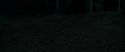 RdM1-Potterish7185.jpg