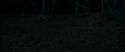 RdM1-Potterish7187.jpg