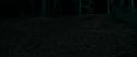RdM1-Potterish7188.jpg