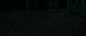 RdM1-Potterish7189.jpg