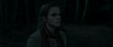 RdM1-Potterish7230.jpg