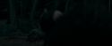 RdM1-Potterish7242.jpg
