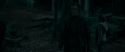 RdM1-Potterish7256.jpg