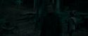 RdM1-Potterish7257.jpg