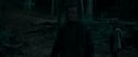 RdM1-Potterish7258.jpg