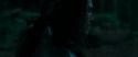 RdM1-Potterish7298.jpg