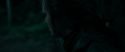 RdM1-Potterish7309.jpg