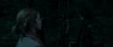 RdM1-Potterish7320.jpg