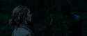 RdM1-Potterish7324.jpg