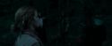 RdM1-Potterish7325.jpg