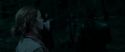 RdM1-Potterish7326.jpg