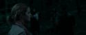 RdM1-Potterish7328.jpg