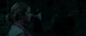 RdM1-Potterish7329.jpg