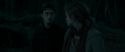 RdM1-Potterish7348.jpg
