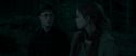 RdM1-Potterish7352.jpg