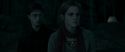 RdM1-Potterish7364.jpg