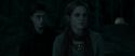 RdM1-Potterish7365.jpg