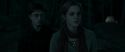 RdM1-Potterish7366.jpg