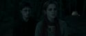 RdM1-Potterish7368.jpg