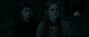 RdM1-Potterish7369.jpg