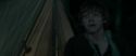 RdM1-Potterish7395.jpg