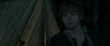 RdM1-Potterish7402.jpg