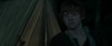 RdM1-Potterish7403.jpg