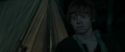 RdM1-Potterish7405.jpg