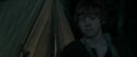 RdM1-Potterish7406.jpg