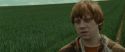 RdM1-Potterish7427.jpg