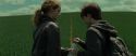 RdM1-Potterish7430.jpg