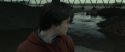 RdM1-Potterish7511.jpg