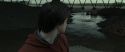 RdM1-Potterish7513.jpg