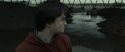RdM1-Potterish7514.jpg