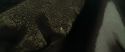 RdM1-Potterish7541~0.jpg