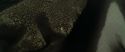 RdM1-Potterish7543.jpg