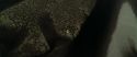 RdM1-Potterish7544.jpg