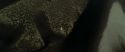 RdM1-Potterish7545.jpg