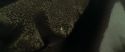 RdM1-Potterish7546.jpg