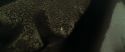 RdM1-Potterish7547.jpg