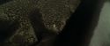 RdM1-Potterish7548.jpg