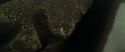 RdM1-Potterish7549.jpg
