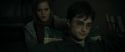 RdM1-Potterish7574.jpg