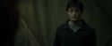 RdM1-Potterish7779.jpg