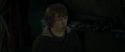 RdM1-Potterish7784.jpg